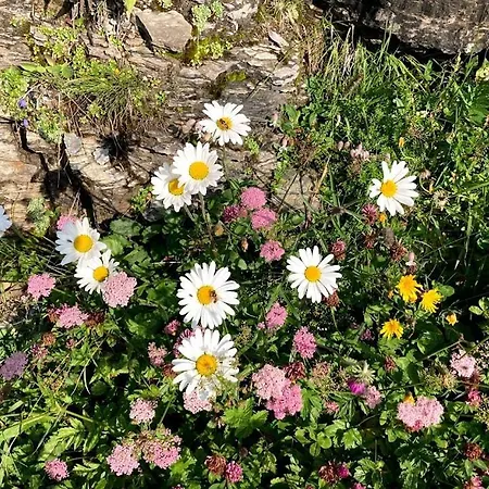 Apartmán Cafrida Flumserberg