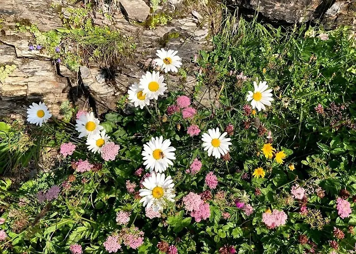 Apartment Cafrida Flumserberg