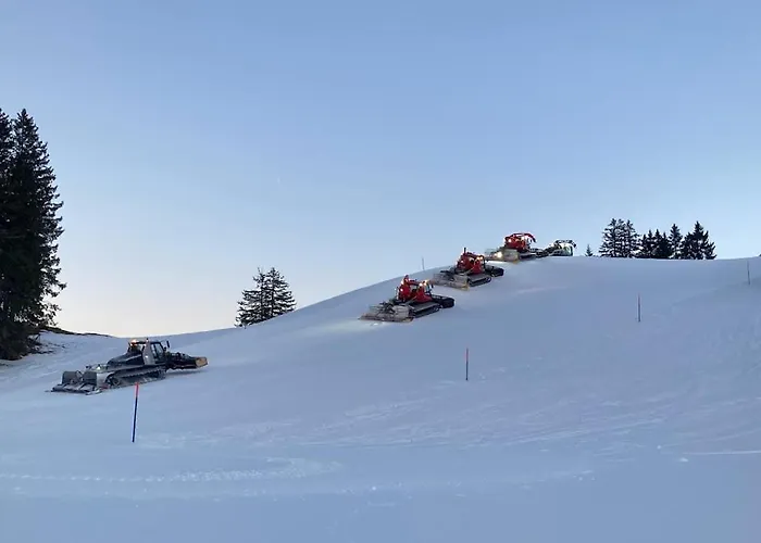 Apartment Cafrida Flumserberg