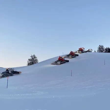 Διαμέρισμα Cafrida Flumserberg